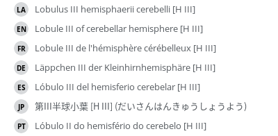翻译