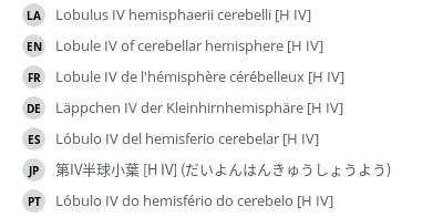 翻译