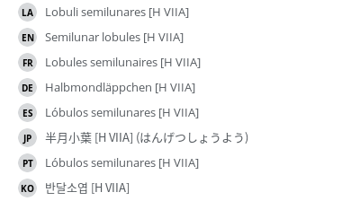 翻译