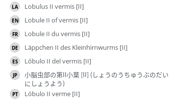 翻译