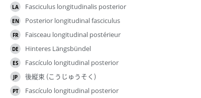 翻译