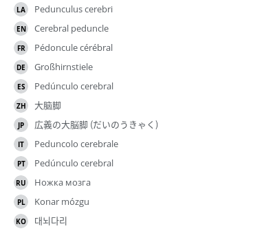 翻译