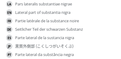 翻译