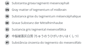 翻译