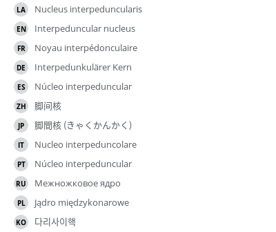 翻译