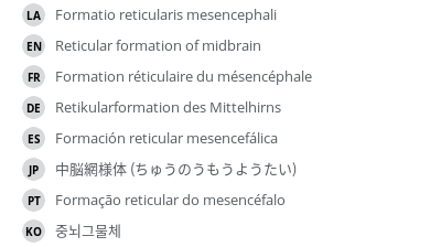 翻译
