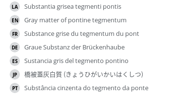 翻译