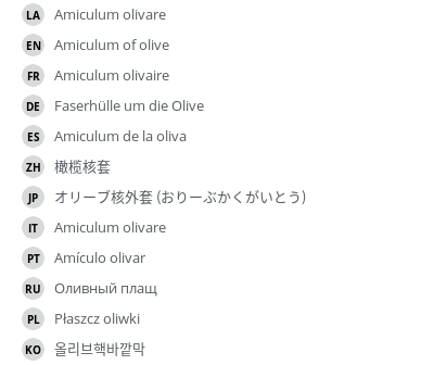 翻译
