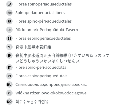 翻译