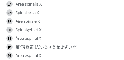 翻译