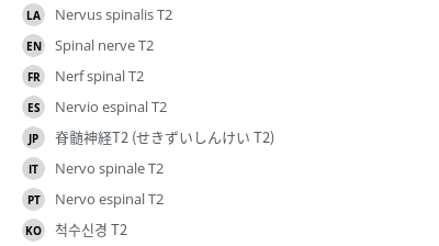 翻译
