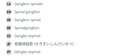 翻译