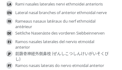 翻译