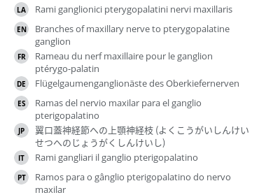 翻译