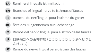 翻译