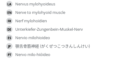 翻译