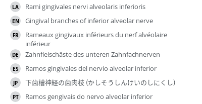 翻译