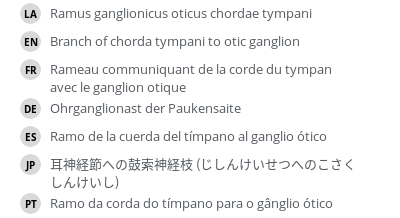 翻译