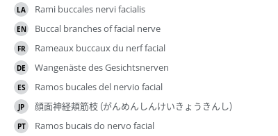 翻译