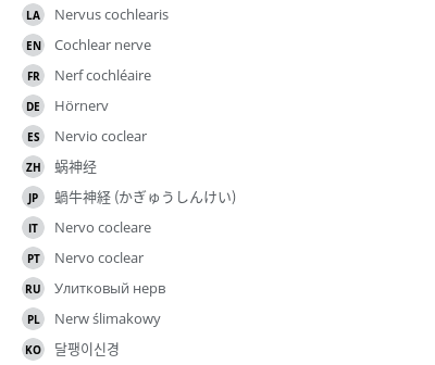 翻译
