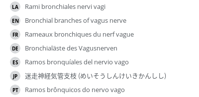 翻译