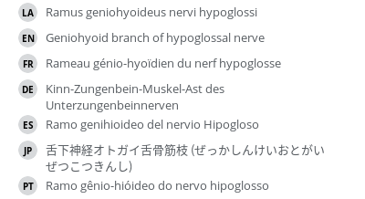 翻译