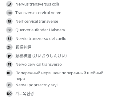 翻译