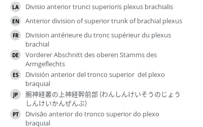 翻译