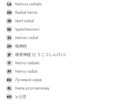翻译