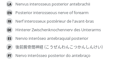 翻译