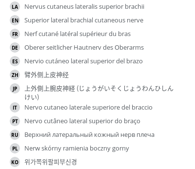 翻译
