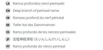 翻译