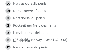 翻译