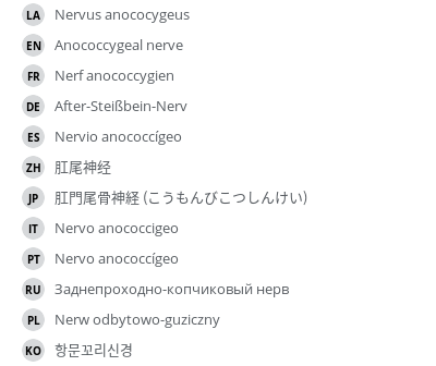 翻译