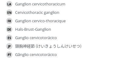 翻译