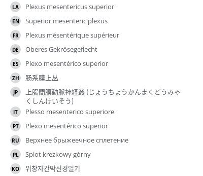翻译