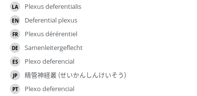 翻译