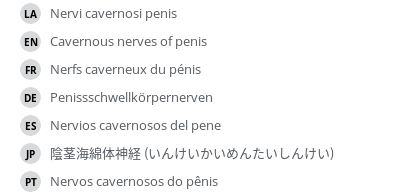 翻译