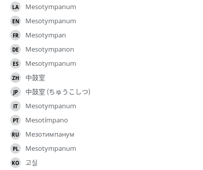 翻译