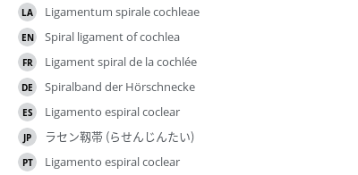翻译
