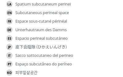 翻译