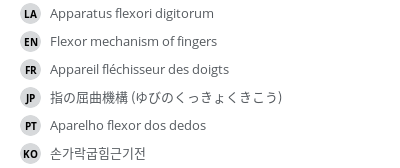 翻译