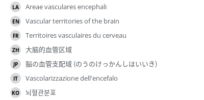 翻译