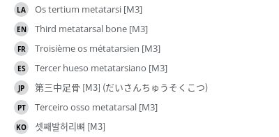 翻译