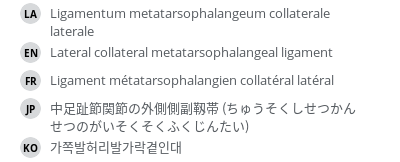 翻译