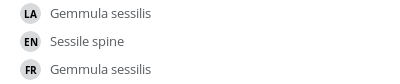 翻译