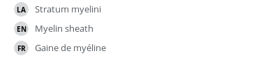 翻译