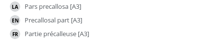 翻译