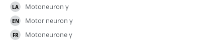 翻译