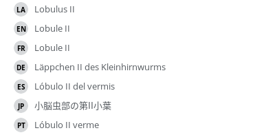 翻译